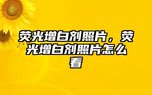 熒光增白劑照片，熒光增白劑照片怎么看