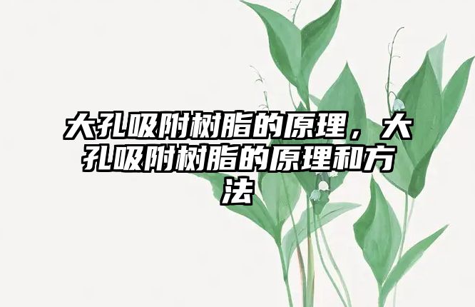 大孔吸附樹(shù)脂的原理，大孔吸附樹(shù)脂的原理和方法