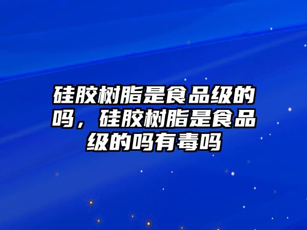 硅膠樹(shù)脂是食品級的嗎，硅膠樹(shù)脂是食品級的嗎有毒嗎