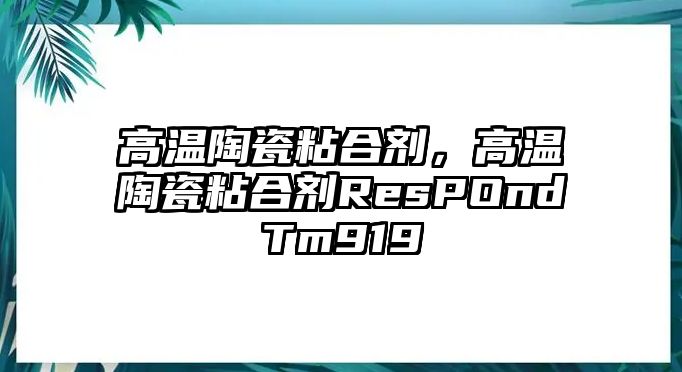 高溫陶瓷粘合劑，高溫陶瓷粘合劑ResPOndTm919