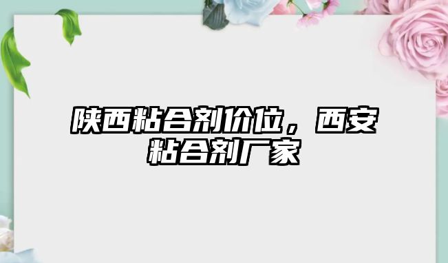 陜西粘合劑價(jià)位，西安粘合劑廠(chǎng)家