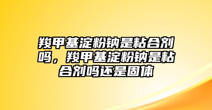 羧甲基淀粉鈉是粘合劑嗎，羧甲基淀粉鈉是粘合劑嗎還是固體