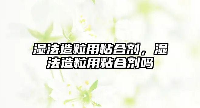 濕法造粒用粘合劑，濕法造粒用粘合劑嗎