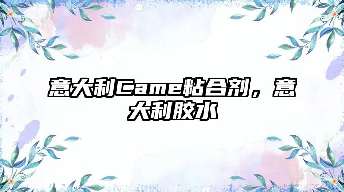 意大利Came粘合劑，意大利膠水