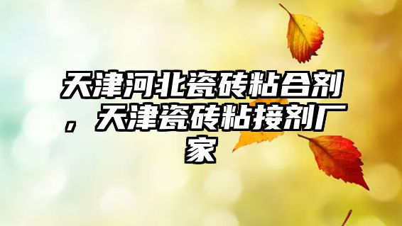 天津河北瓷磚粘合劑，天津瓷磚粘接劑廠(chǎng)家