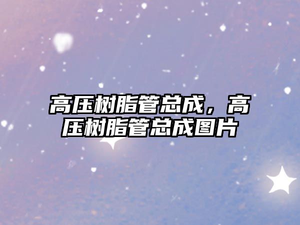 高壓樹(shù)脂管總成，高壓樹(shù)脂管總成圖片