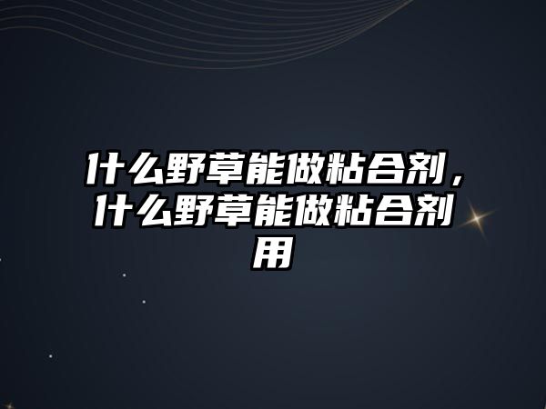 什么野草能做粘合劑，什么野草能做粘合劑用