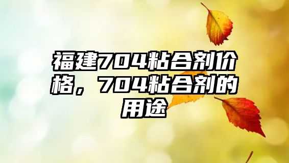 福建704粘合劑價(jià)格，704粘合劑的用途