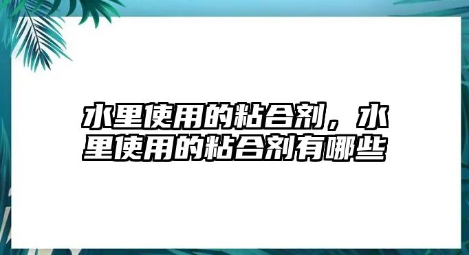 水里使用的粘合劑，水里使用的粘合劑有哪些