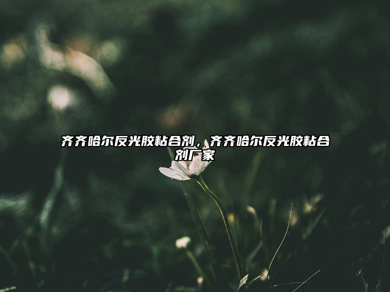 齊齊哈爾反光膠粘合劑，齊齊哈爾反光膠粘合劑廠(chǎng)家