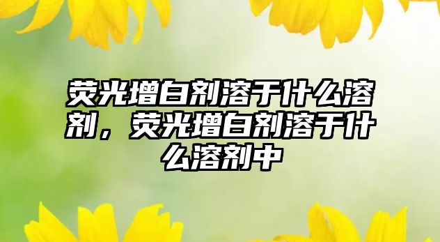 熒光增白劑溶于什么溶劑，熒光增白劑溶于什么溶劑中