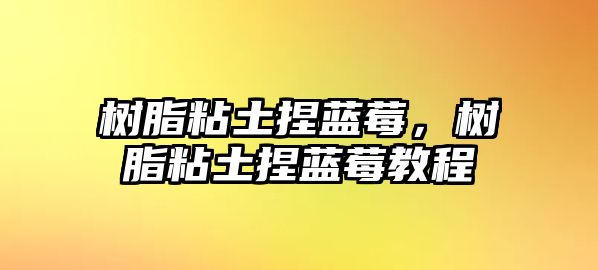 樹(shù)脂粘土捏藍莓，樹(shù)脂粘土捏藍莓教程