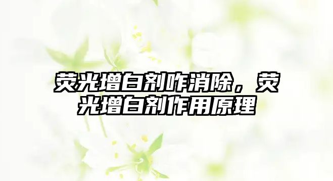 熒光增白劑咋消除，熒光增白劑作用原理